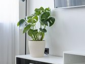 Jaukus Ir Modernus Loftas Naujamiestyje – - nuotraukos Nr. 39