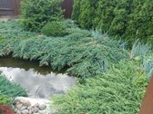 Parduodamas namas Anykščių centre, Taikos g. - nuotraukos Nr. 17