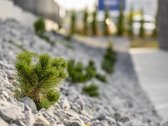 Dėl savo geros, patogios lokacijos bei - nuotraukos Nr. 20