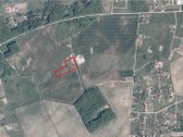 Parduodamas žemės ūkio paskirties sklypas - nuotraukos Nr. 2