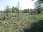 Parduodamas 3,26 ha žemės ūkio paskirties
