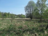 Parduodamas 3,26 ha žemės ūkio paskirties - nuotraukos Nr. 3
