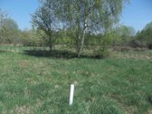 Parduodamas 3,26 ha žemės ūkio paskirties - nuotraukos Nr. 4