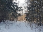 Parduodamas Sklypas - nuotraukos Nr. 6