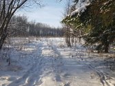 Parduodamas Sklypas - nuotraukos Nr. 5