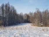 Parduodamas Sklypas - nuotraukos Nr. 14