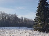 Parduodamas Sklypas - nuotraukos Nr. 9