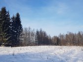 Parduodamas Sklypas - nuotraukos Nr. 11