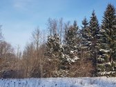 Parduodamas Sklypas - nuotraukos Nr. 7