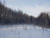 Parduodamas Sklypas - nuotraukos Nr. 15