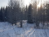 Parduodamas Sklypas - nuotraukos Nr. 17