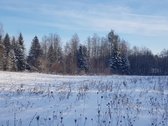 Parduodamas Sklypas - nuotraukos Nr. 18