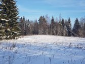 Parduodamas Sklypas - nuotraukos Nr. 10