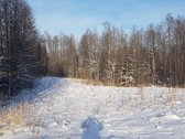 Parduodamas Sklypas - nuotraukos Nr. 19