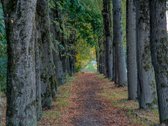 Parduodu butą. Su naujais baldais, buitine - nuotraukos Nr. 19