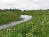 Parduodamas 260 arų sklypas su leidimu