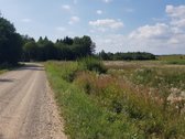 Parduodamas 260 arų sklypas su leidimu - nuotraukos Nr. 4