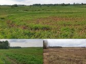 Parduodamas 260 arų sklypas su leidimu - nuotraukos Nr. 5