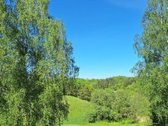 Parduodamas žemės sklypas Pavilnių