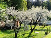 Parduodamas Namas Šalia Verkių Regioninio Parko - nuotraukos Nr. 6