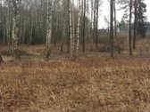 Sklypas yra nedidelėje, jaukioje Antaniškių - nuotraukos Nr. 3