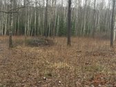 Sklypas yra nedidelėje, jaukioje Antaniškių - nuotraukos Nr. 4