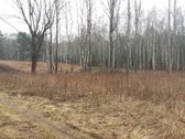 Sklypas yra nedidelėje, jaukioje Antaniškių - nuotraukos Nr. 5