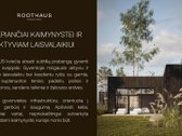 Unikalus Su Mišku Besiribojantis Namas - 18b - nuotraukos Nr. 39