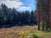 Parduodamas 94arų ploto rekreacinės