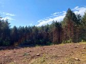 Parduodamas 94arų ploto rekreacinės - nuotraukos Nr. 2
