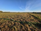 Parduodami namų valdos žemės sklypai - nuotraukos Nr. 18