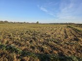 Parduodami namų valdos žemės sklypai - nuotraukos Nr. 19