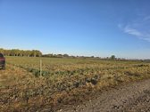 Parduodami namų valdos žemės sklypai - nuotraukos Nr. 24