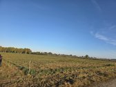 Parduodami namų valdos žemės sklypai - nuotraukos Nr. 27