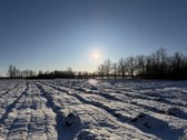 Parduodami namų valdos sklypai: - nuotraukos Nr. 4