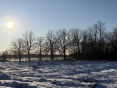 Parduodami namų valdos sklypai: - nuotraukos Nr. 7