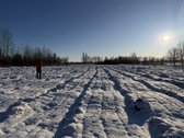 Parduodami namų valdos sklypai: - nuotraukos Nr. 5