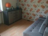 Parduodamas erdvus ir tvarkingas gyvenamasis - nuotraukos Nr. 16
