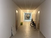 Parduodamos tvarkingos ir šviesios - nuotraukos Nr. 14