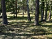 Šalia Dviejų Ežerų Ir Upių - nuotraukos Nr. 17