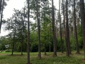 Šalia Dviejų Ežerų Ir Upių - nuotraukos Nr. 18