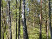 Šalia Dviejų Ežerų Ir Upių - nuotraukos Nr. 10
