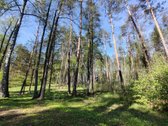 Šalia Dviejų Ežerų Ir Upių - nuotraukos Nr. 12