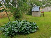 Kalvarijos sav., Miklausės k. - nuotraukos Nr. 25