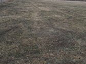 Prie šio sklypo priklauso dar 70 arų sklypas - nuotraukos Nr. 8