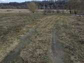 Prie šio sklypo priklauso dar 70 arų sklypas - nuotraukos Nr. 9