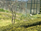 Parduodamas namas Parąžės kaime, Gluosnių g. - nuotraukos Nr. 23