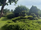 Parduodamas namas Parąžės kaime, Gluosnių g. - nuotraukos Nr. 2
