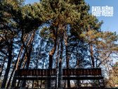 Unikalioje Vilniaus vietoje, ant tvenkinio - nuotraukos Nr. 27