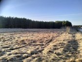 2,7 ha sklypas su mišku Trakų r. Mamavio k.